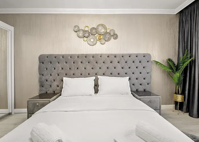 公寓 Rt Luxury Elegance 布拉索夫