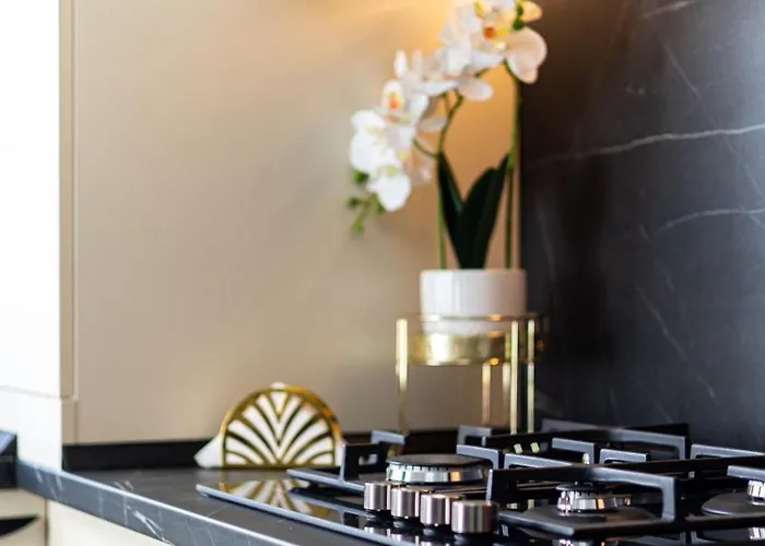 公寓 Rt Luxury Elegance 布拉索夫